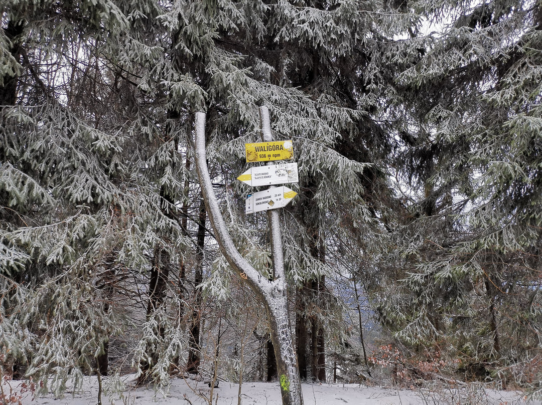 Waligora-Mieroszow必去景点