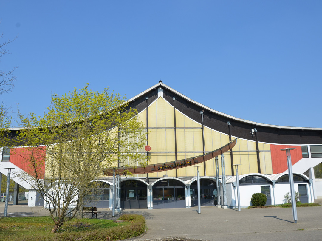Eissporthalle Salzgitter景点图片