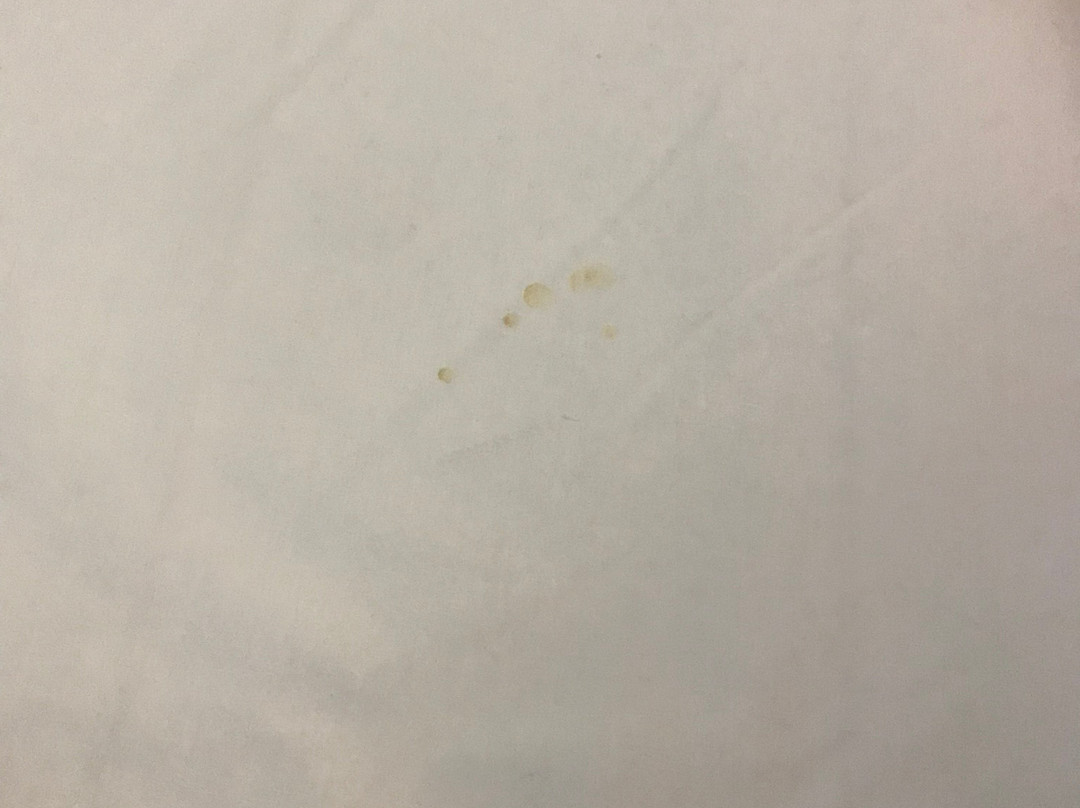 Days Inn by Wyndham Rome Downtown主图