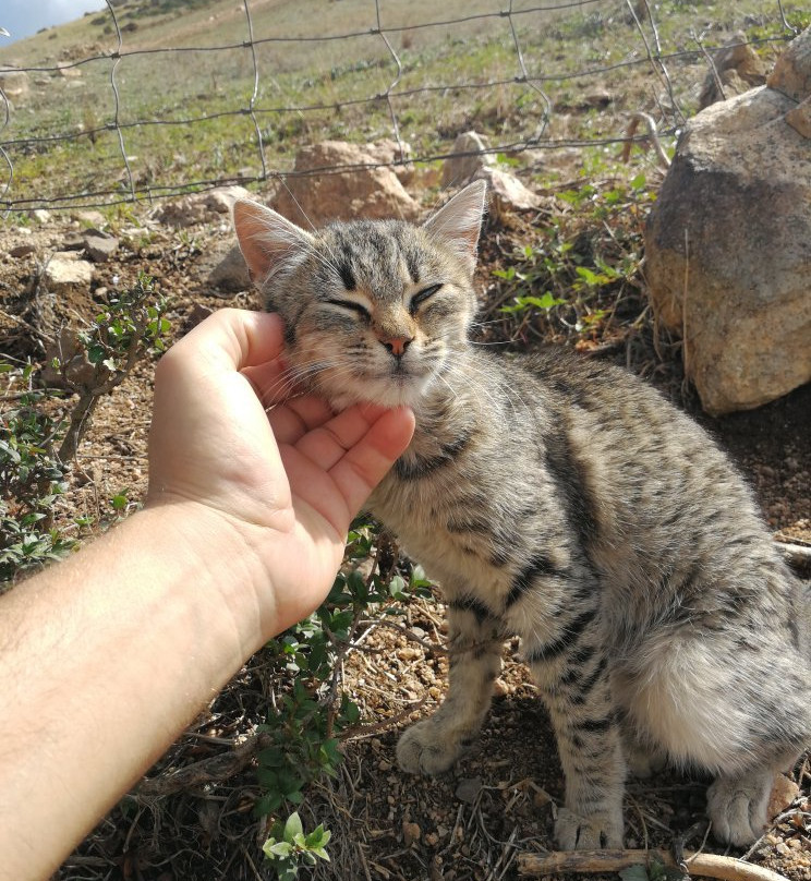 Tomba dei Giganti di Barrancu Mannu-Santadi必去景点