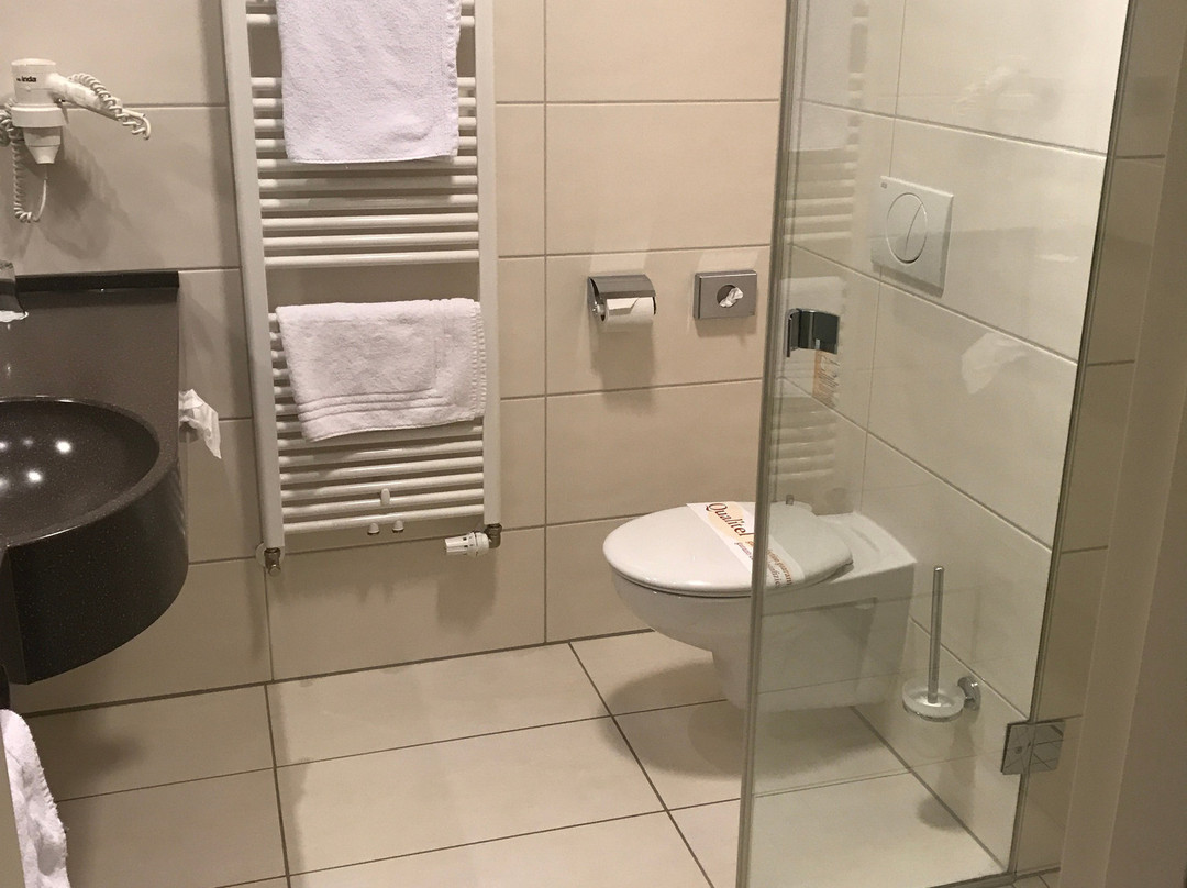 Qualitel Hotel Hilpoltstein主图