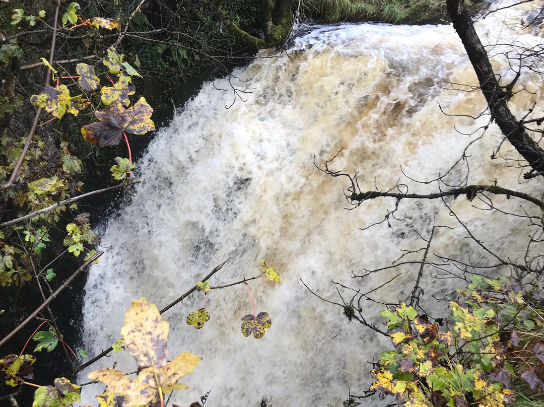 Catrigg Force Waterfall景点图片