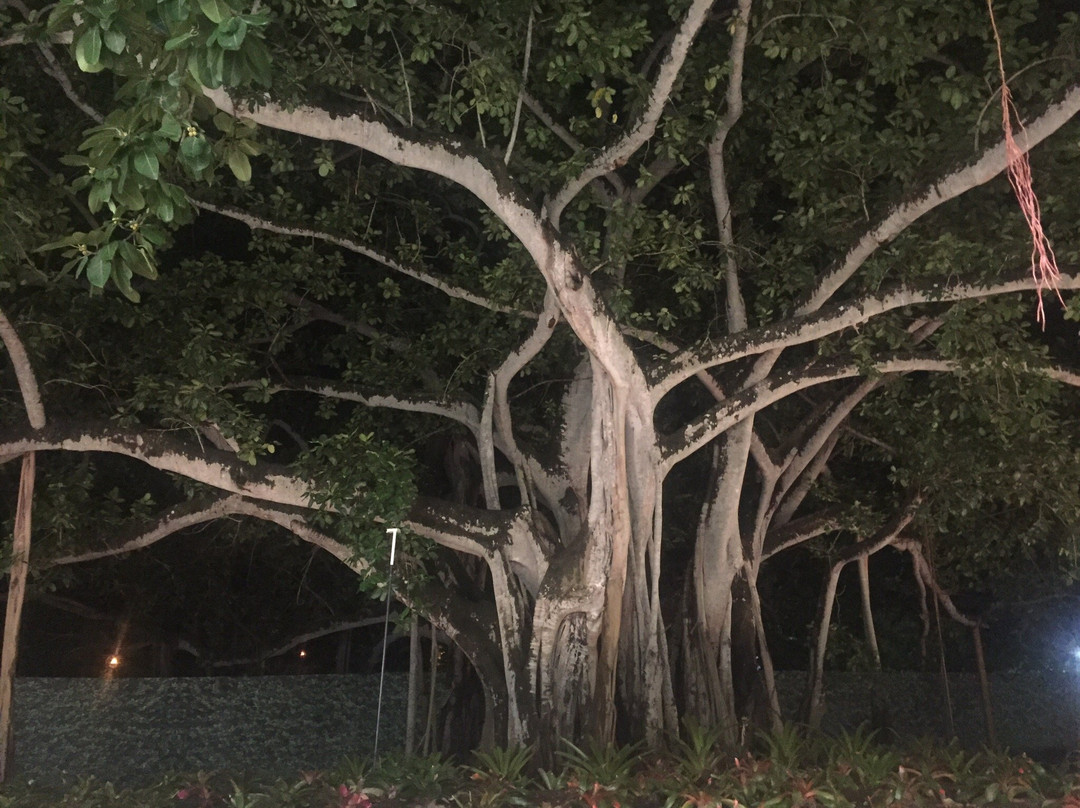 Parque Comercial Guacari-Sincelejo必去景点