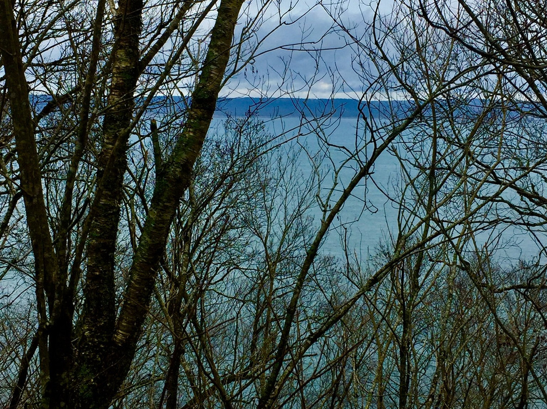 Cape Split Hiking Trail-Scots Bay必去景点