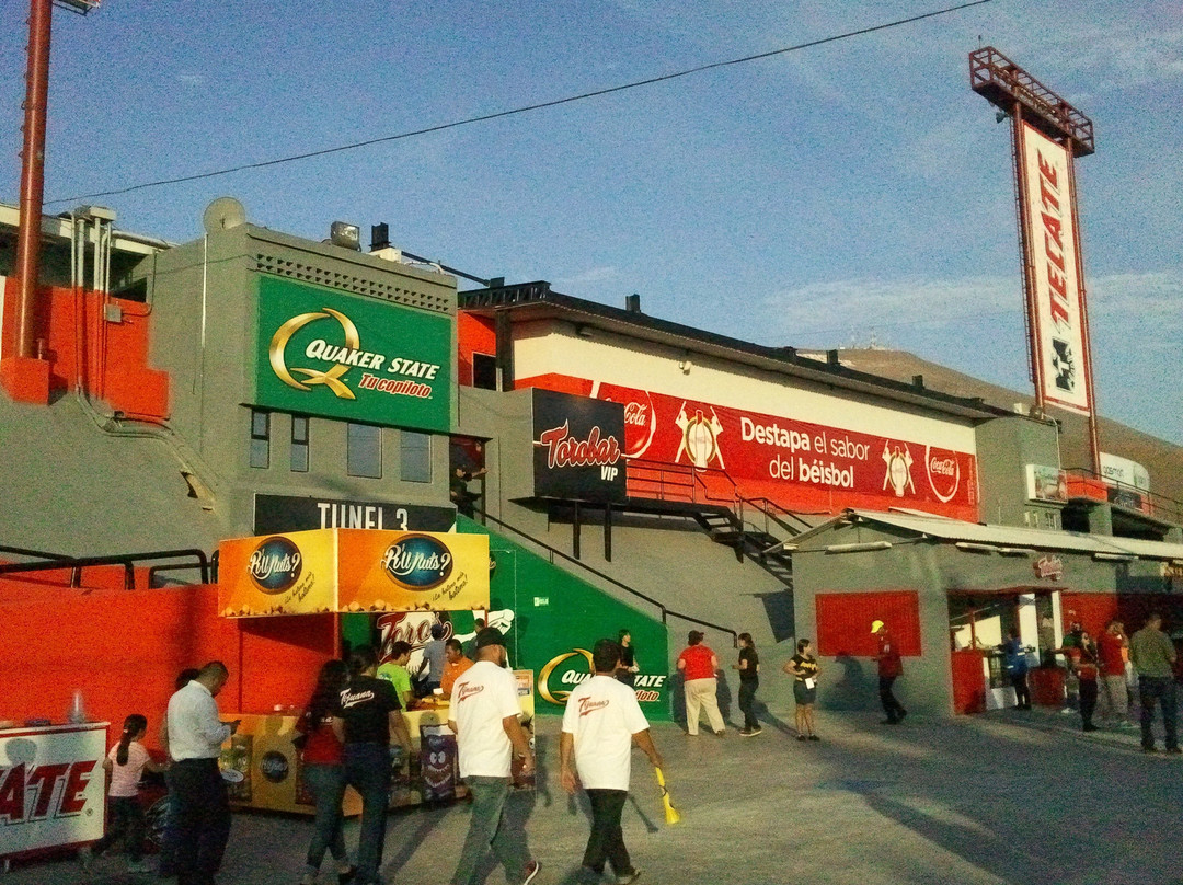 Estadio Chevron景点图片