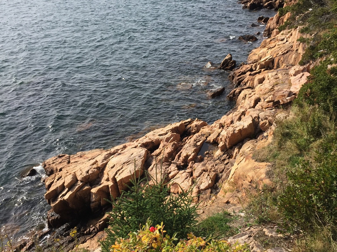 Bass Harbor Head Lighthouse景点图片