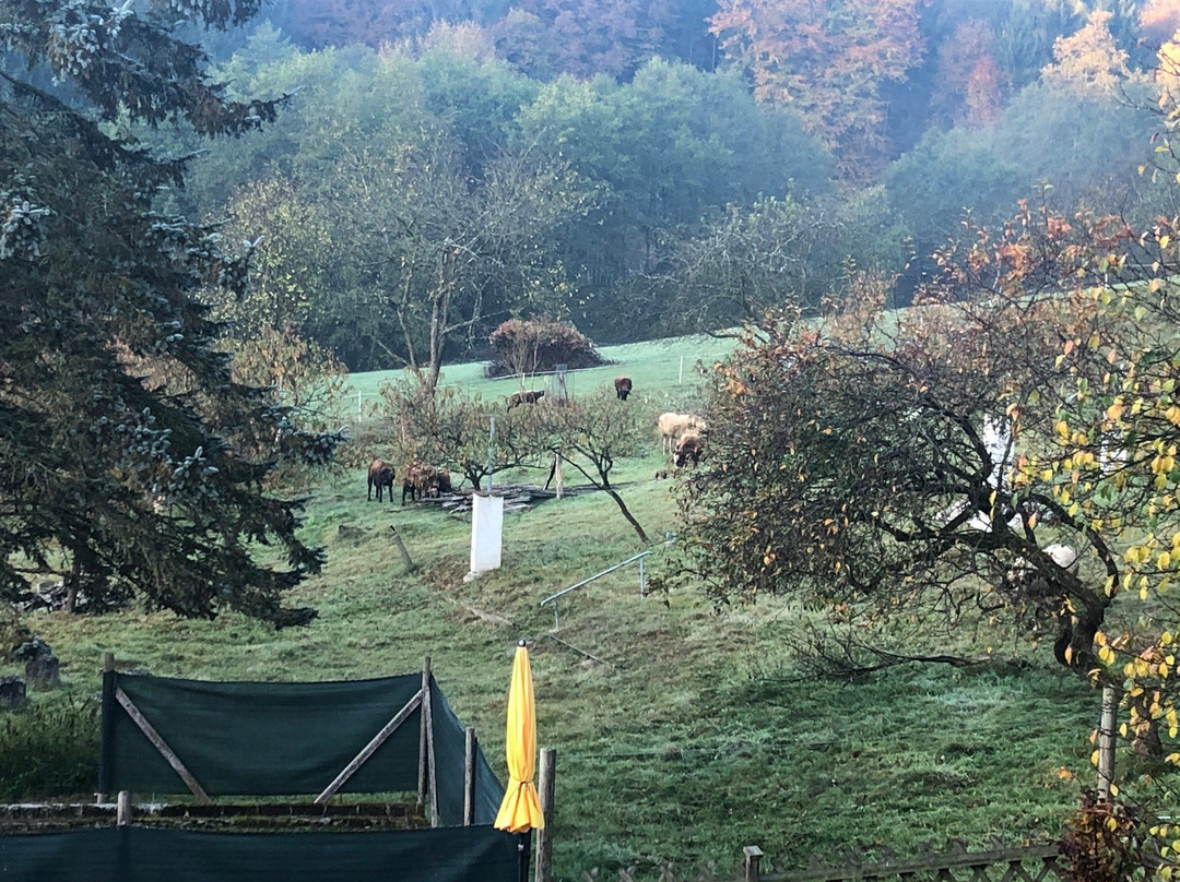 Landhaus Waldfrieden