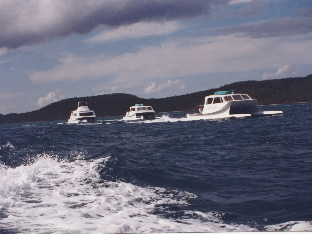 Dolphin Water Taxi-圣 托马斯必去景点