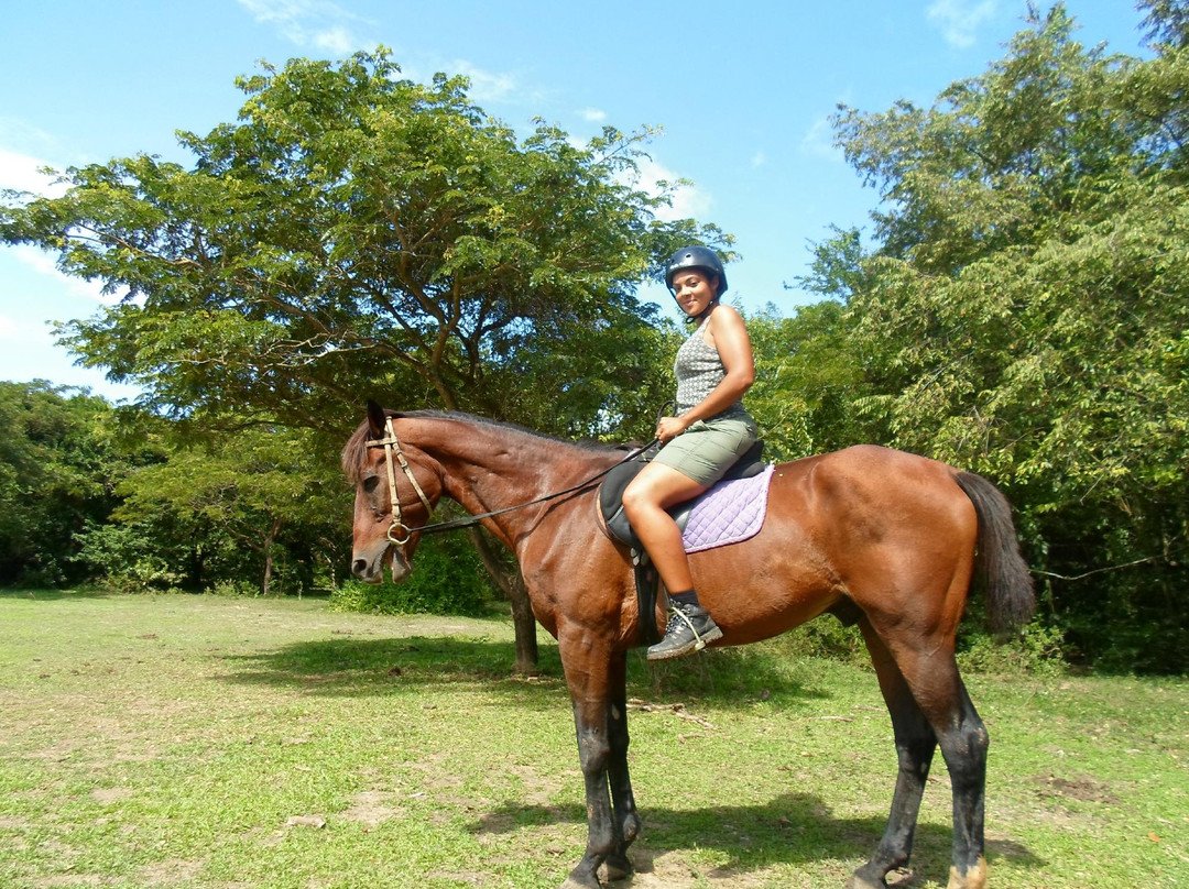 Friendship Riding Stables-Canaan必去景点