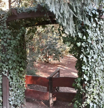 Arboretum w Lipnie-Lipno必去景点