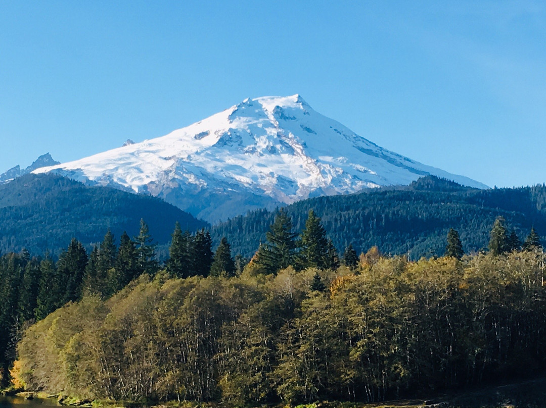 Mt. Baker-Snoqualmie National Forest景点图片
