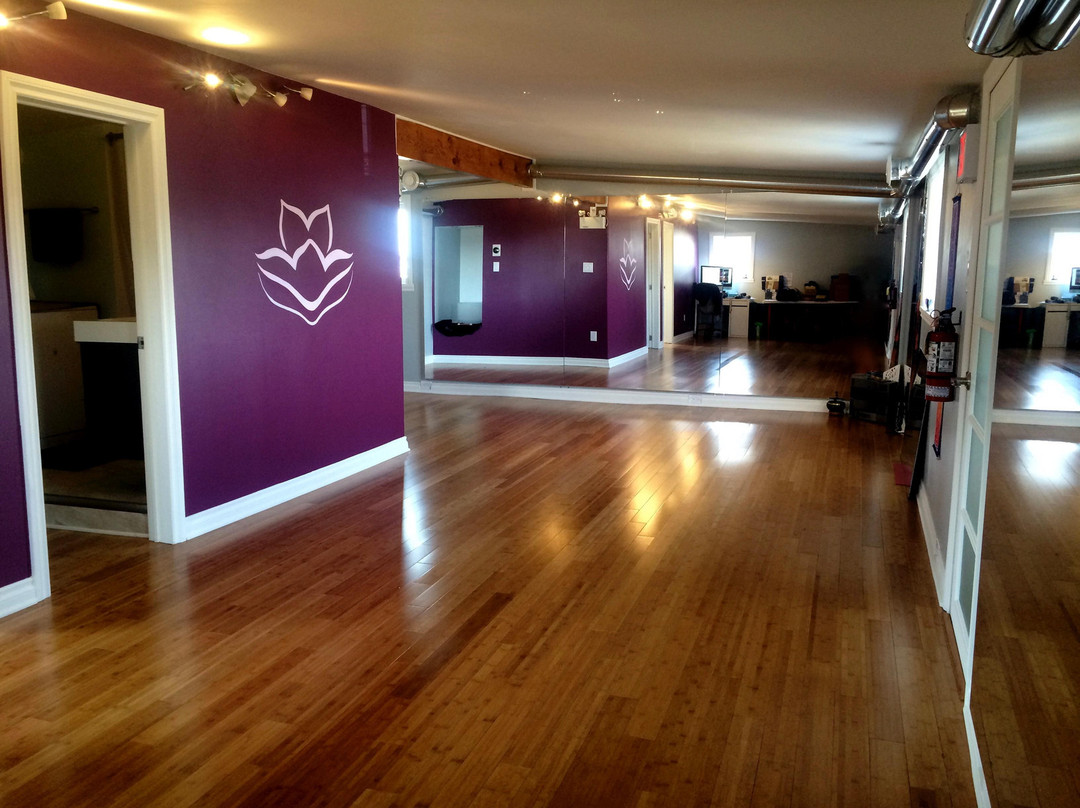 Saimavik Studio