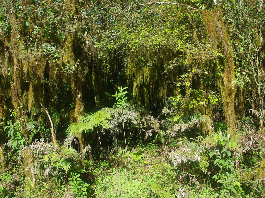 Parque Nacional Aconquija-Alpachiri必去景点