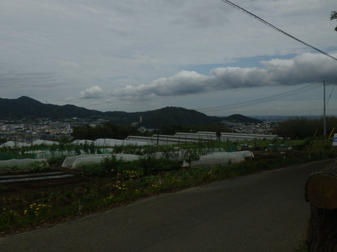 Lake Shinsei-秦野市必去景点