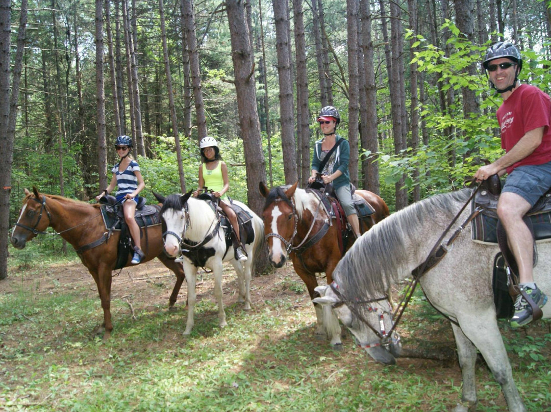 Adventure Stables-Whitney必去景点