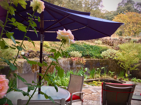 Meadowlark Country House & Resort主图