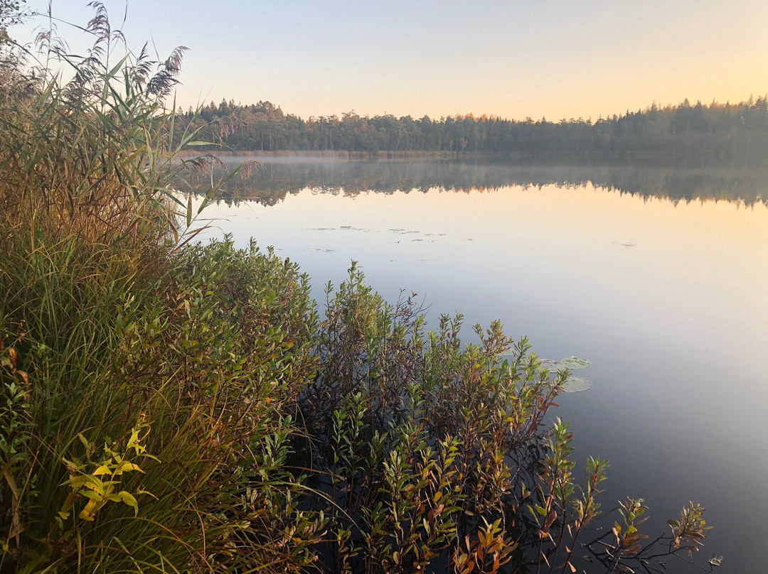 Naturreservatet Florarna-Oesterbybruk必去景点