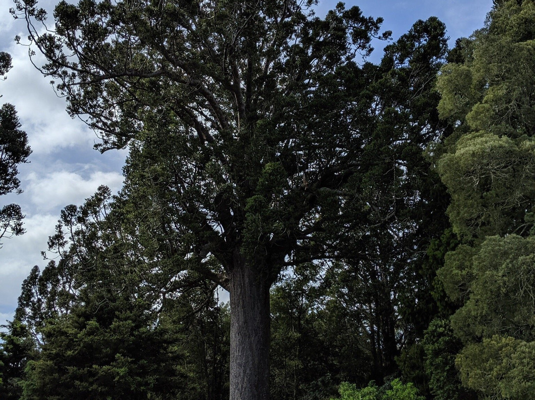 Warkworth Museum-瓦卡沃夫必去景点