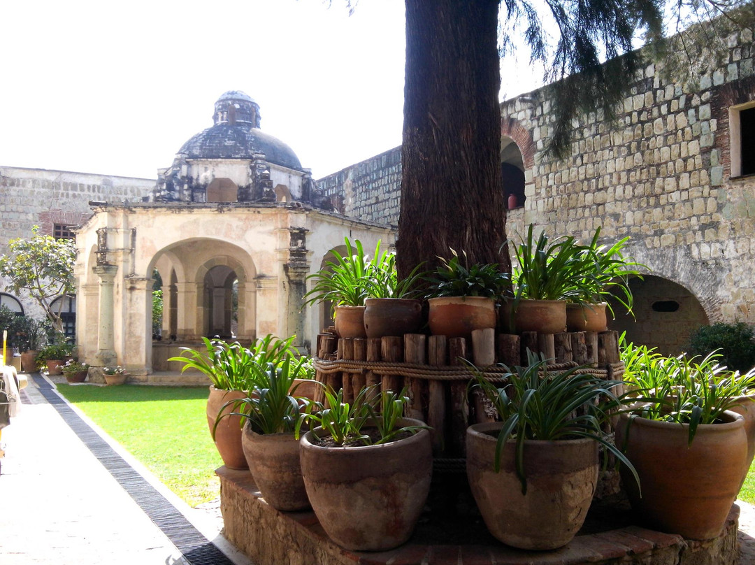 Ex-Convento de Santa Catalina景点图片