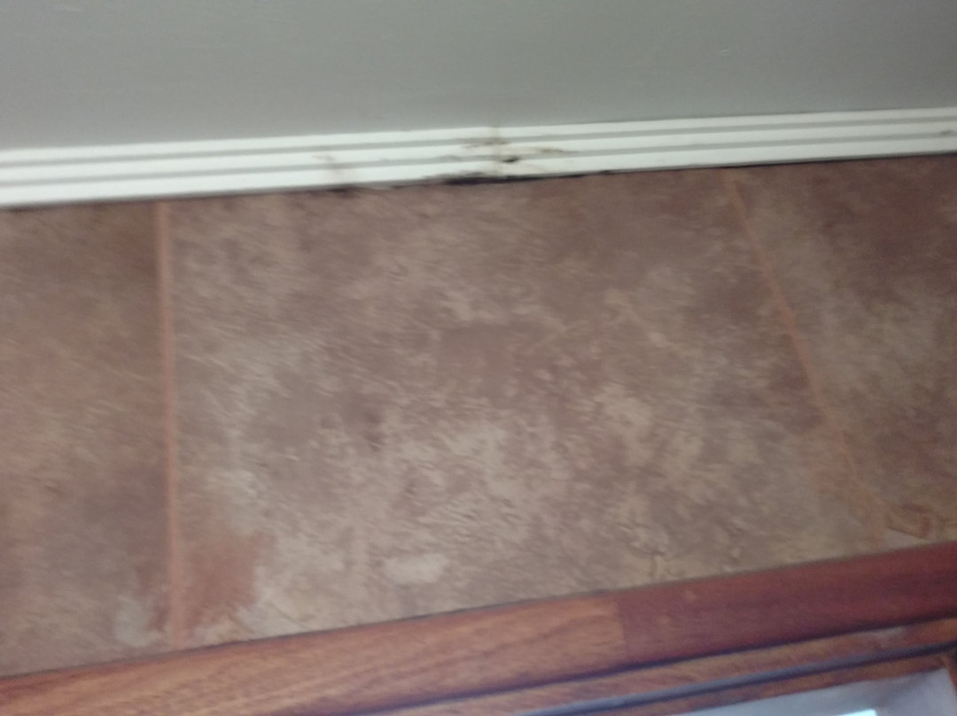 Apart Hotel Via 51主图