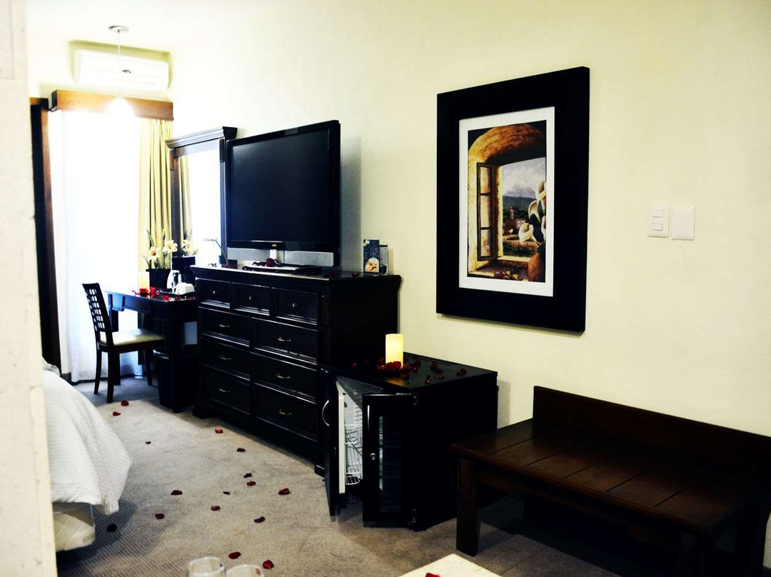 Hotel San Carlos Tequisquiapan主图