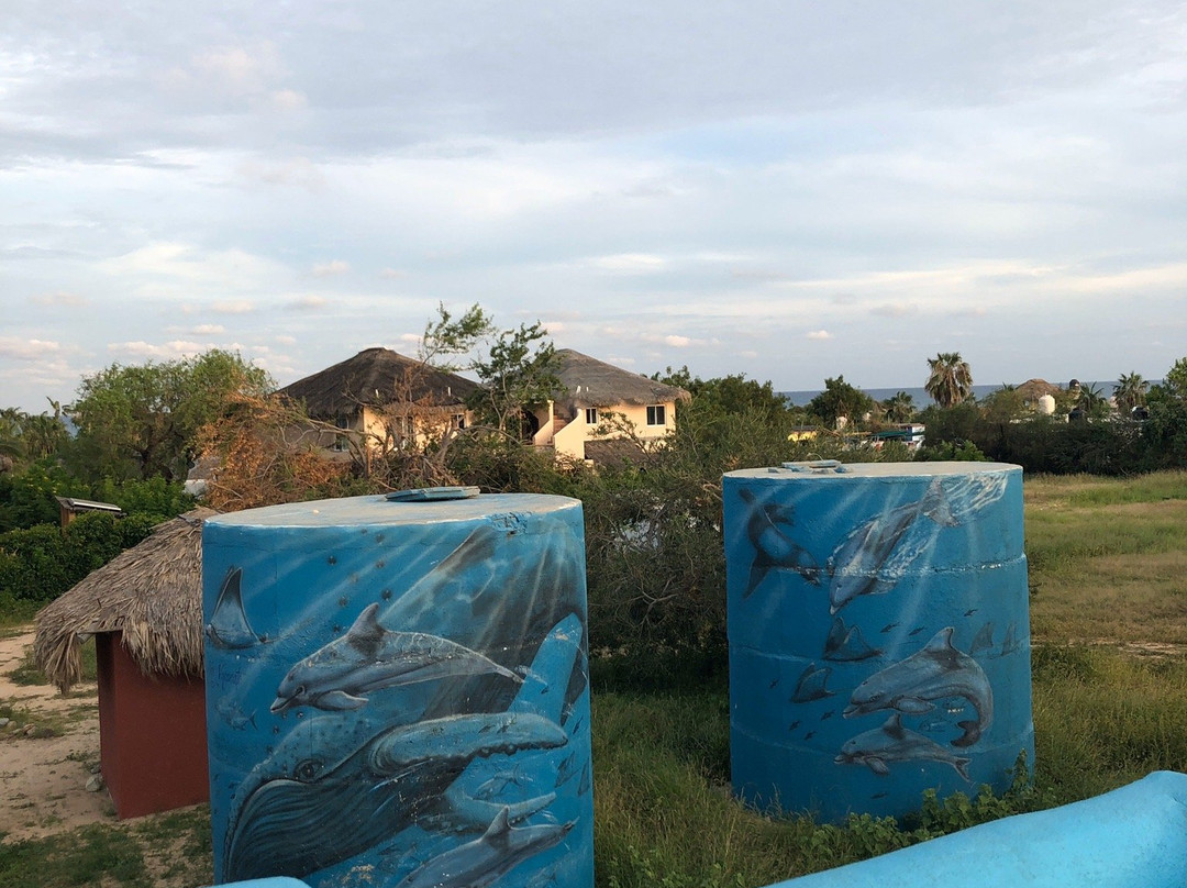 Cabo Pulmo Beach Resort主图