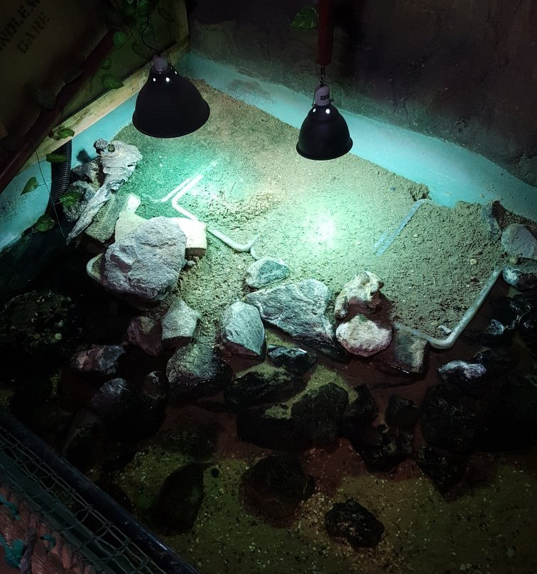 Seaquarium景点图片