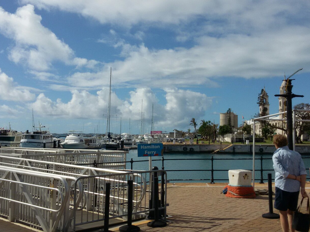 Sea Express Ferry Service-汉密尔顿必去景点