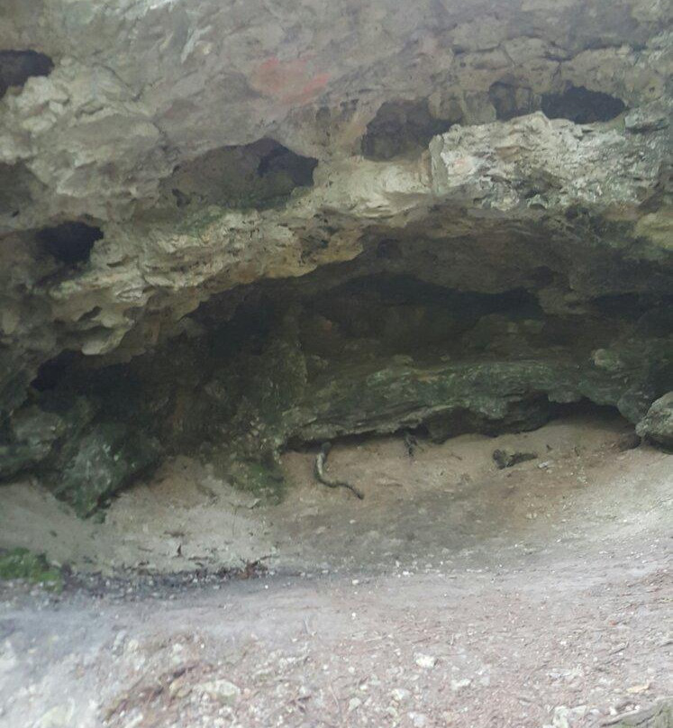 Eagle Point Cave景点图片
