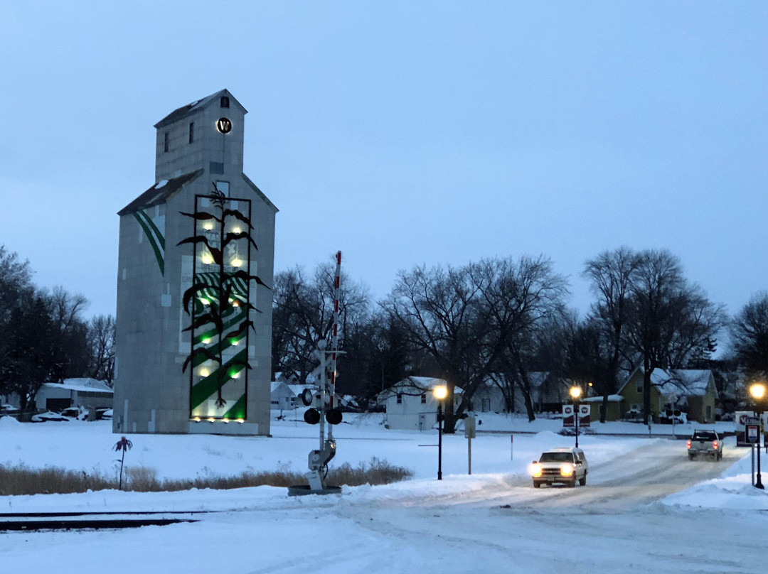 45 Ft Corn Stalk Grain Elevator
