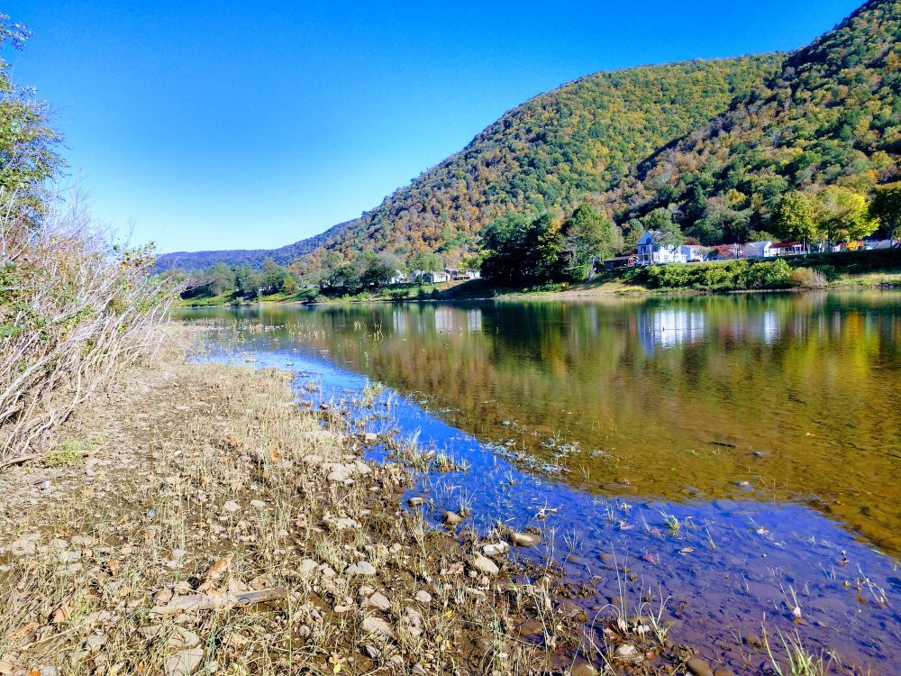 Sproul State Forest景点图片