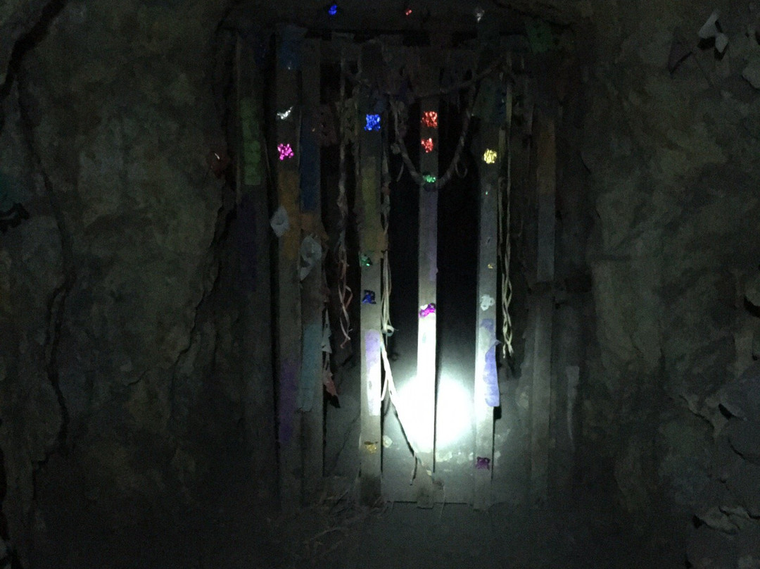 Silver Tours - Day Tour景点图片