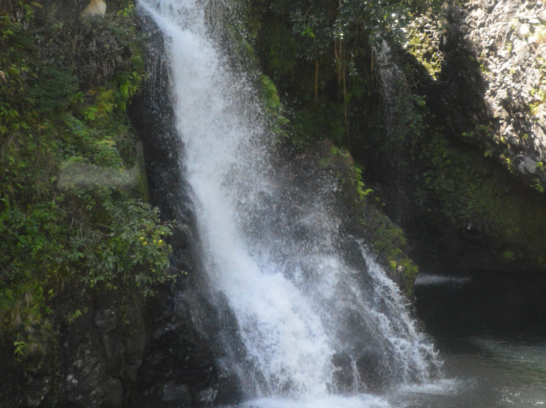 Road to Hana Tours-哈纳必去景点