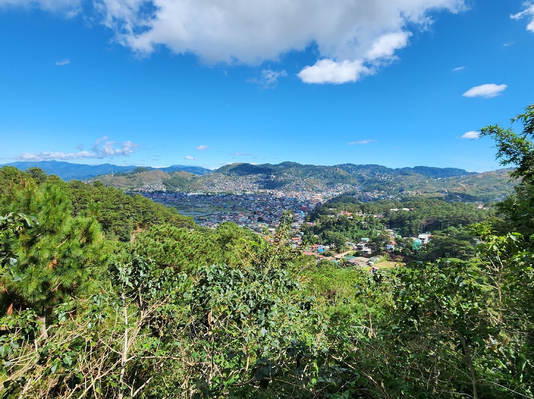 Taste Cups By Joanna C