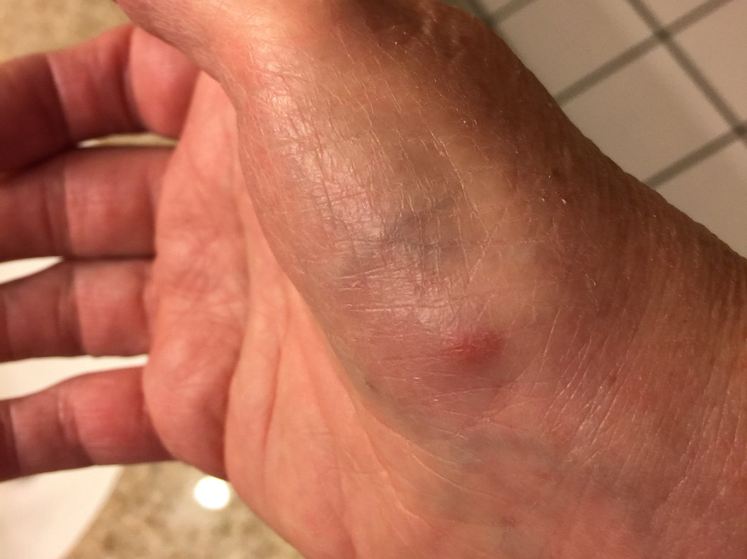 Days Inn & Suites by Wyndham Johnson City主图