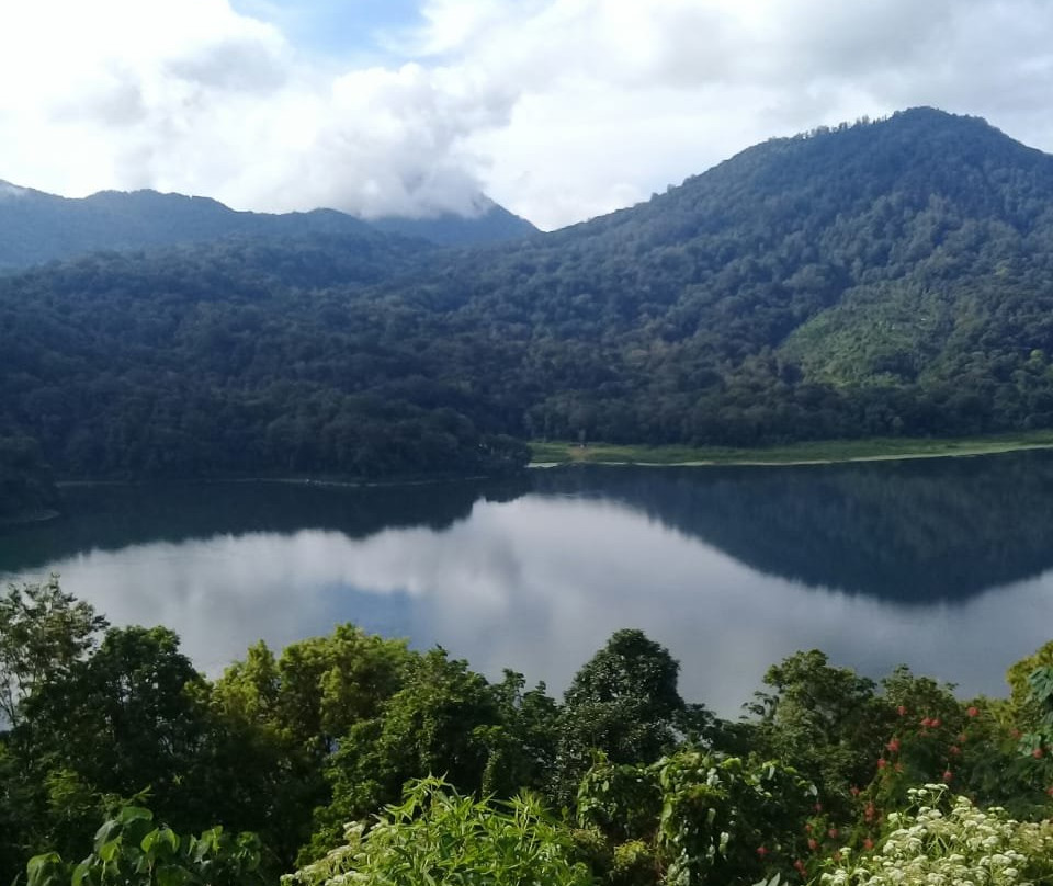 Lovina Dolphin Adventure-罗威那海滩必去景点