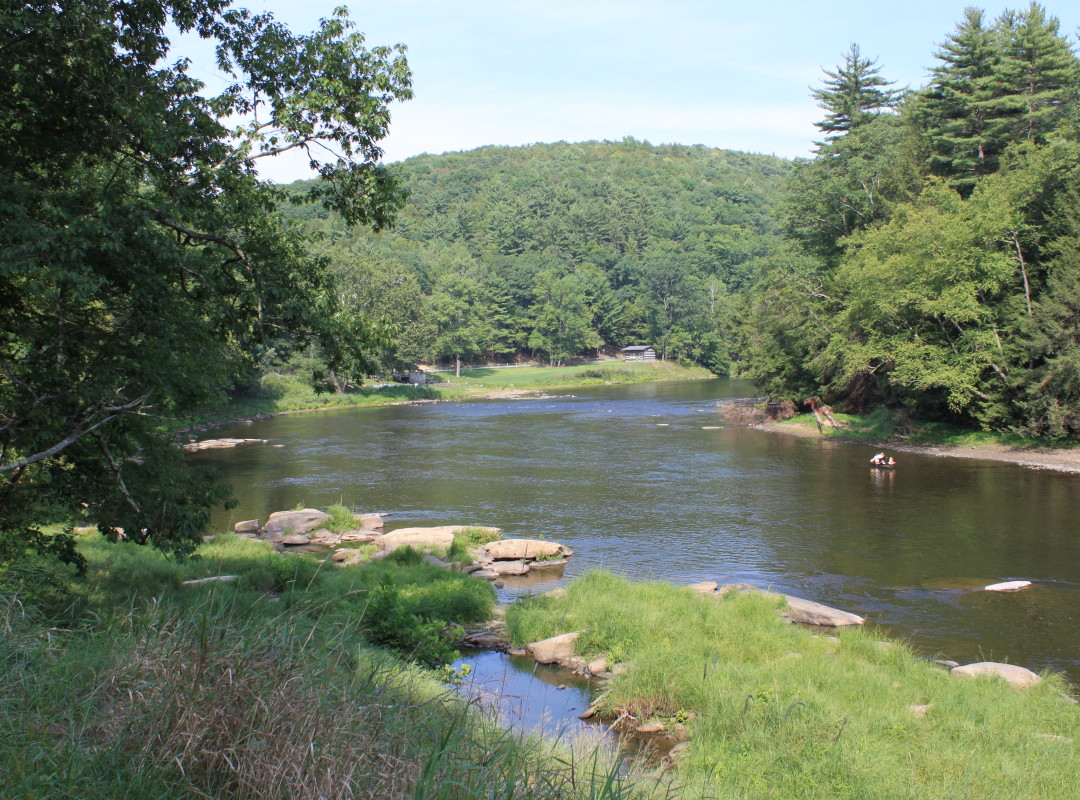 Cook Forest State Park景点图片