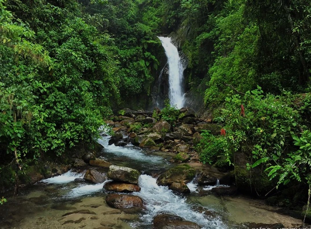 Satipo旅游景点-Catarata Gallito de las Rocas