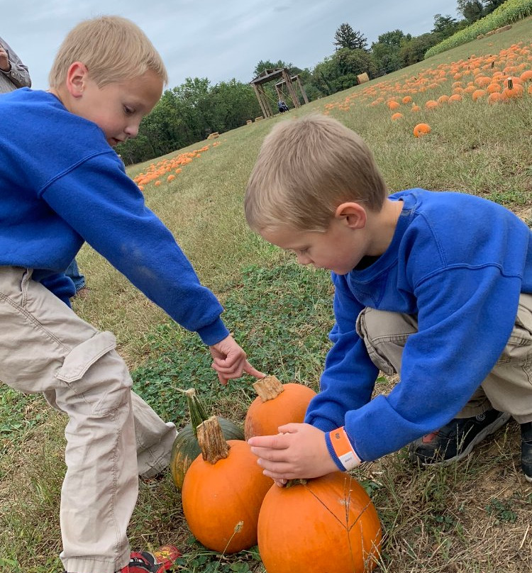 Jeter Farm-罗阿诺克必去景点