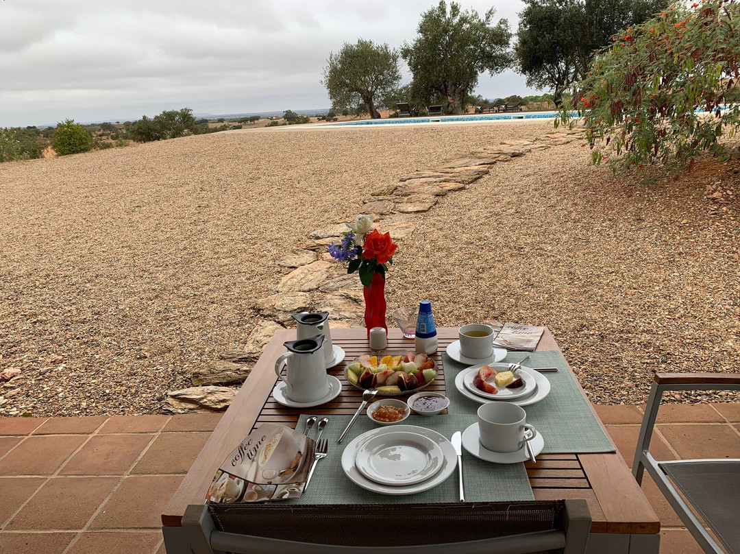 Cantar do Grilo主图