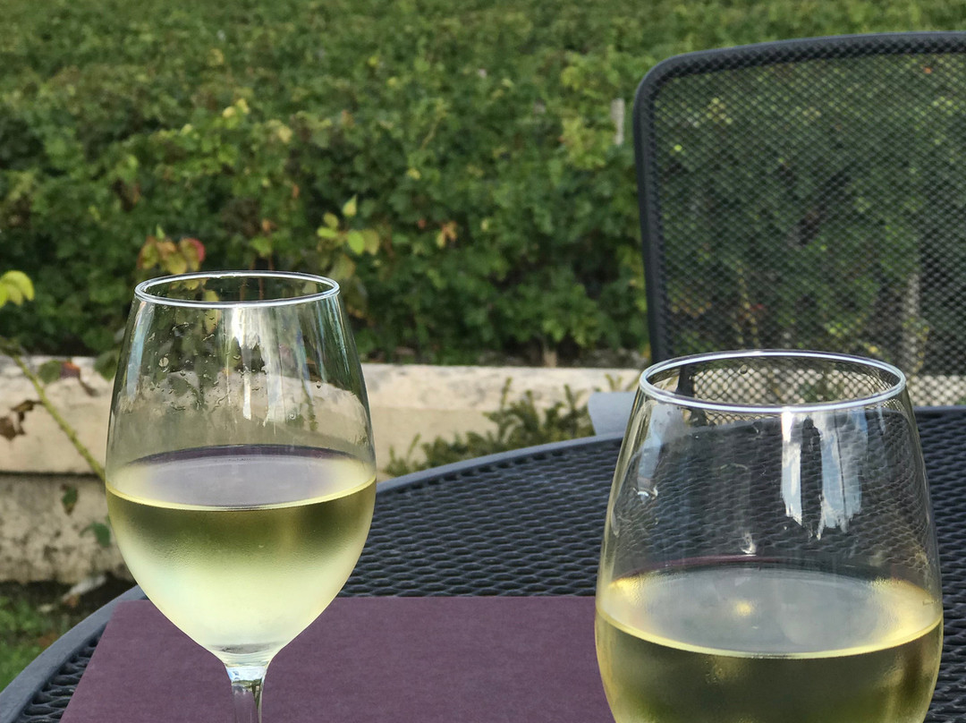 Hôtel de Margaux主图