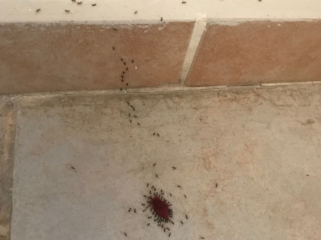 王子酒店及别墅主图