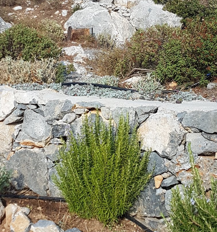 Althaea-Anatoli必去景点