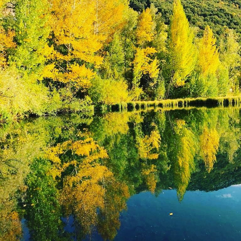 null-Jermuk