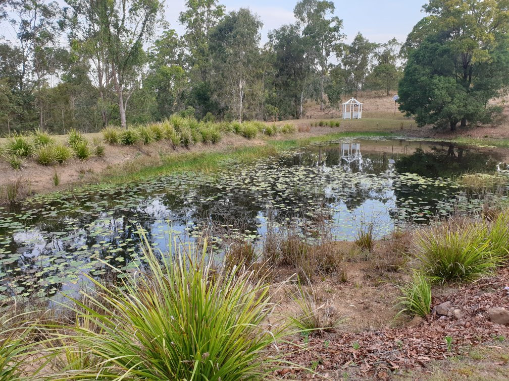 Honeybee Country Accommodation主图