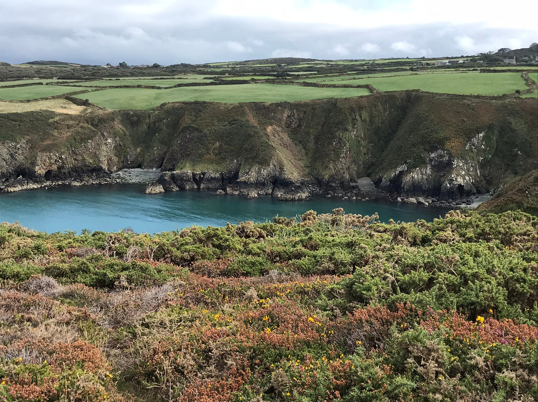 Pembrokeshire Coast National Park景点图片