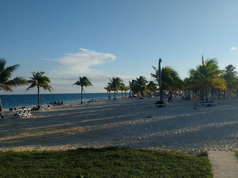 S&D Coach Tours-弗里波特必去景点