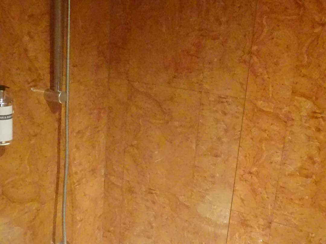 瓦伦西亚海洋怡思得主图