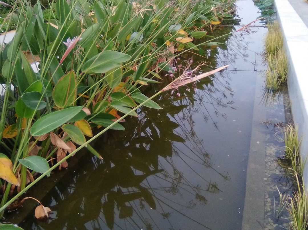 Parque Central-巴伦西亚必去景点
