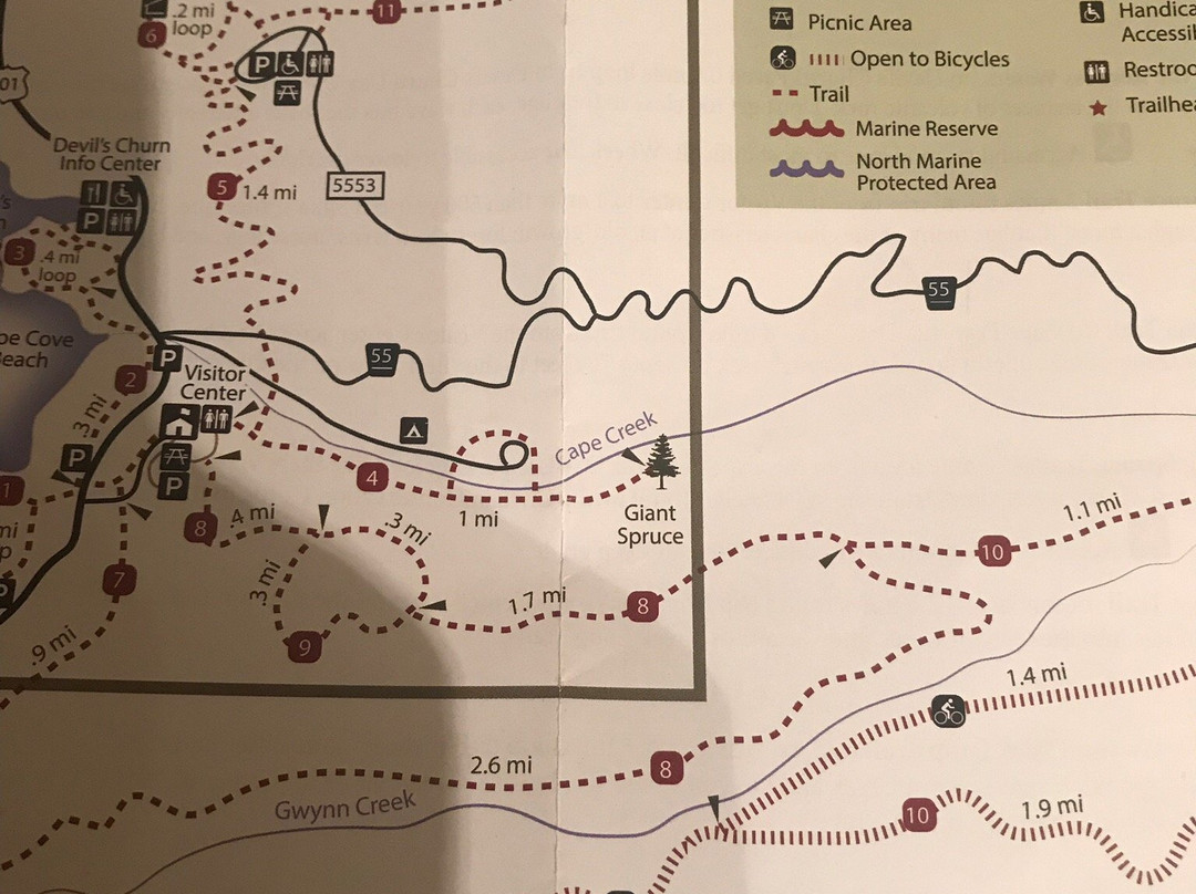 Siuslaw National Forest-科瓦利斯必去景点